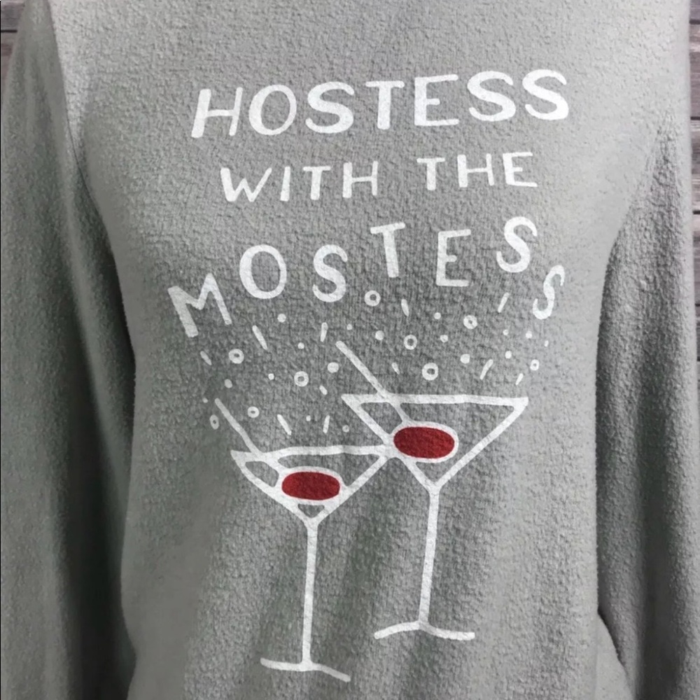 WILDFOX  🦊 SWEATSHIRT Gray soft crew neck S & XS - Picture 4 of 6